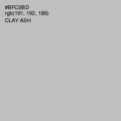 #BFC0BD - Clay Ash Color Image